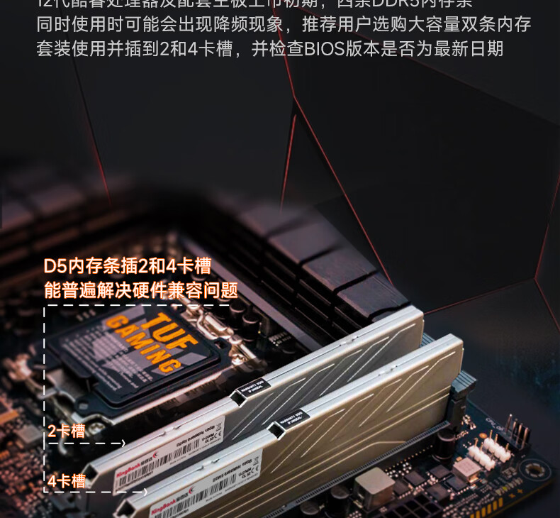 135026dd9cea3d1e.jpg